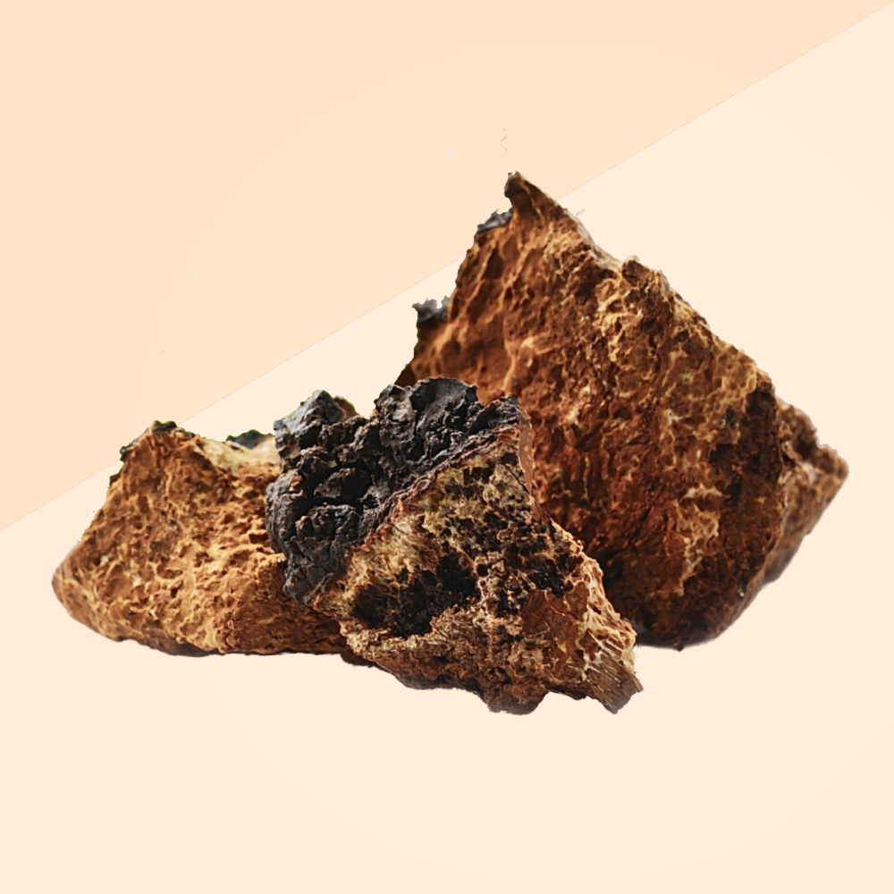 Chaga IMMUNO Winter Elixir with Blueberry 500ml