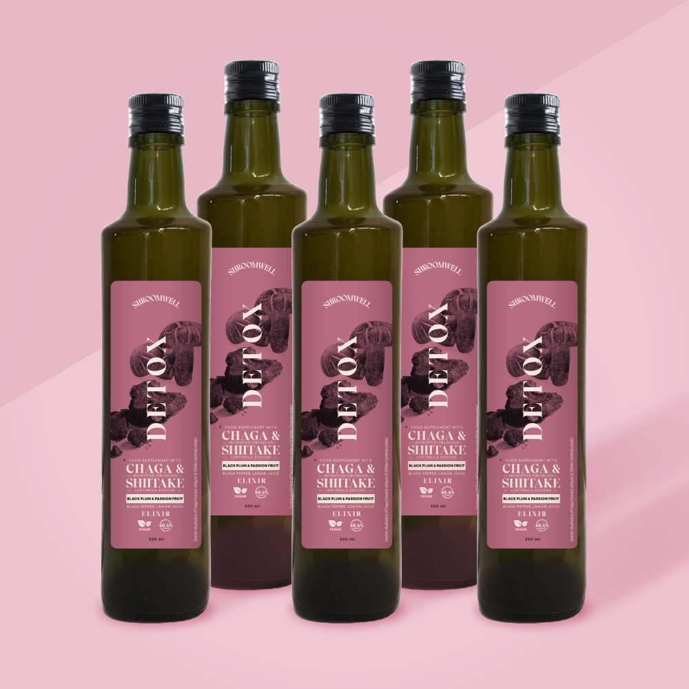 Bundle Chaga DETOX Elixir Black Plum & Passion Fruit 6x500ml