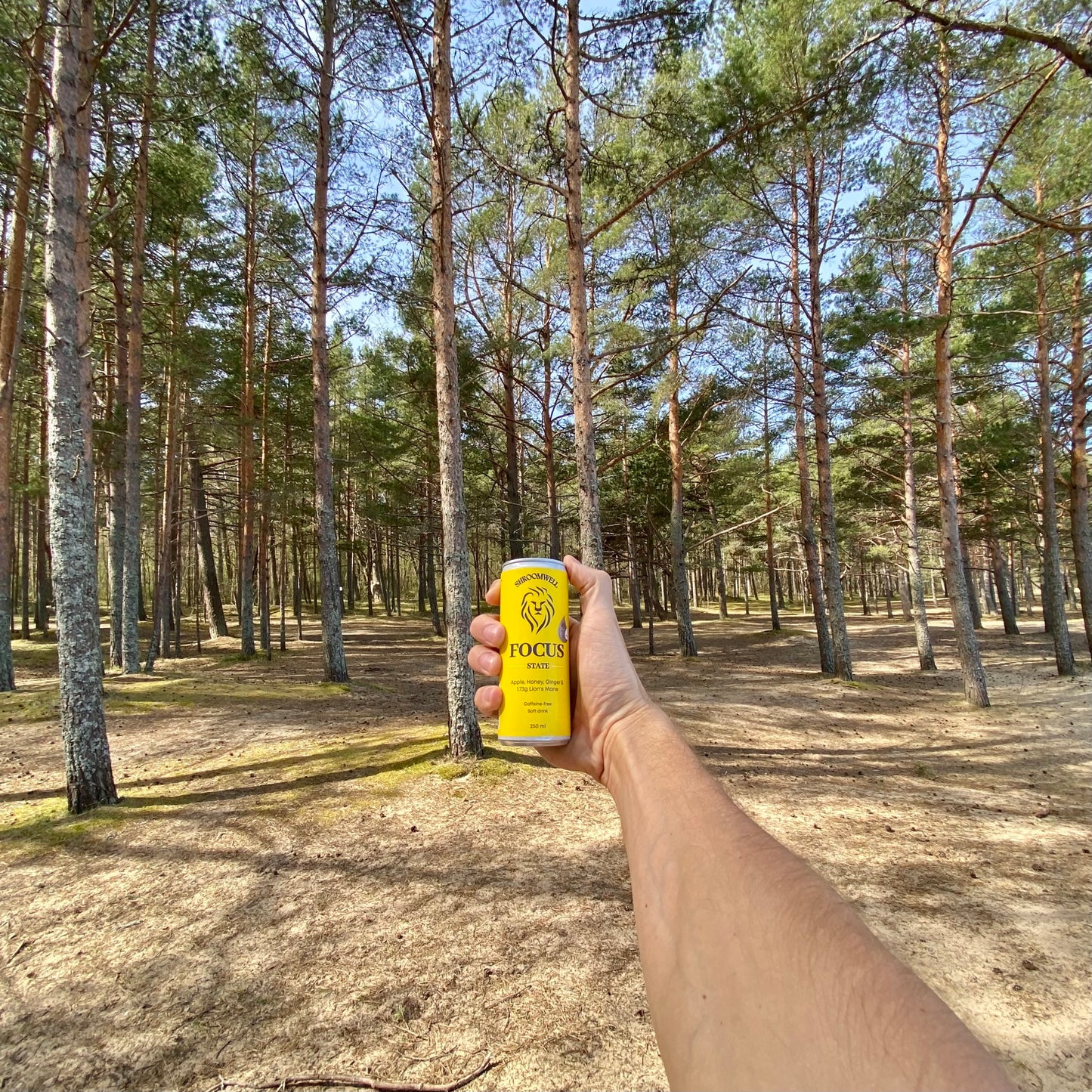 Focus State Soft Drink (6 cans)