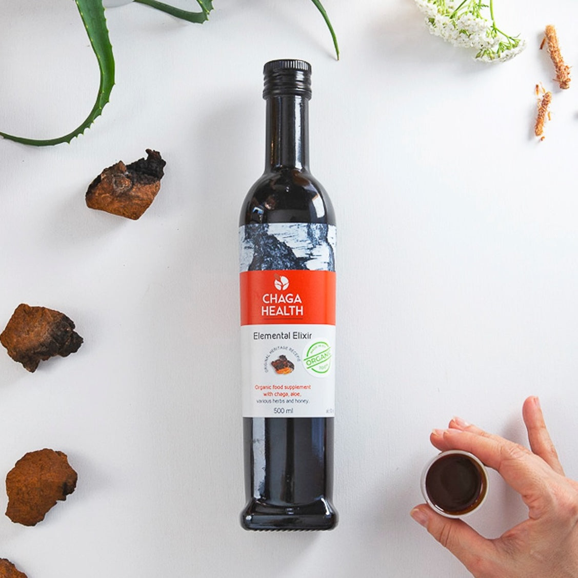 Chaga Health Organic ELEMENTAL Elixir with Aloe Vera 500ml