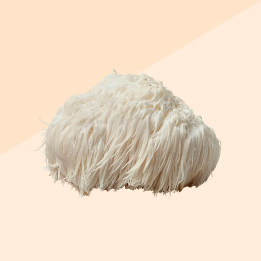 Lion's Mane Mushroom (fresh) 2kg