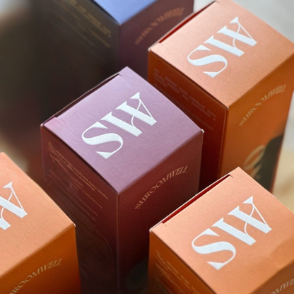 Bundle Chaga Elixir Megamix 4x500ml