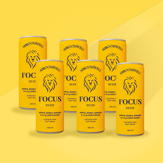 Focus State Soft Drink with Lion's Mane – 24-Can Box (24 × 250 ml)